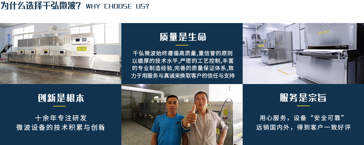 食品微波干燥機(jī)